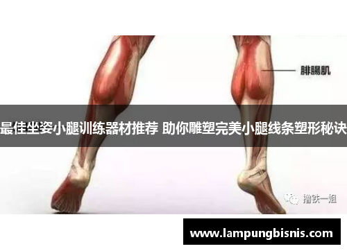 最佳坐姿小腿训练器材推荐 助你雕塑完美小腿线条塑形秘诀