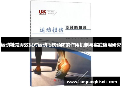运动鞋减震效果对运动损伤预防的作用机制与实践应用研究