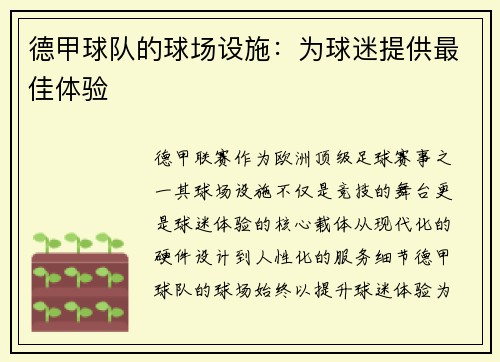 德甲球队的球场设施：为球迷提供最佳体验